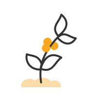 Cafés bio et durables